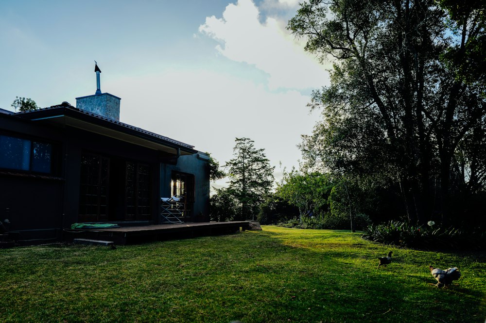 Casa moderna oscura en un jardín